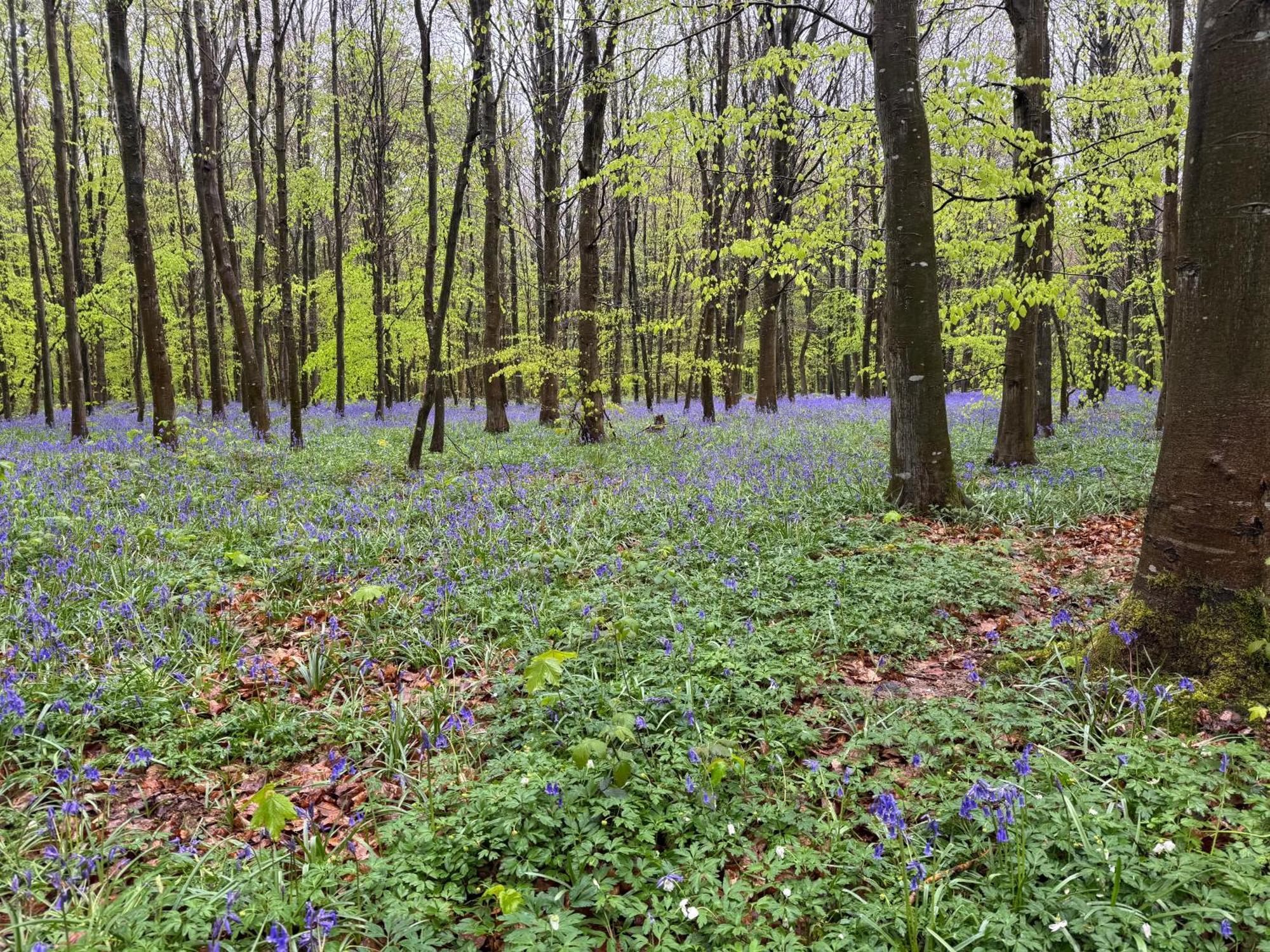 Camping L'Oree Des Caps Licques Экстерьер фото